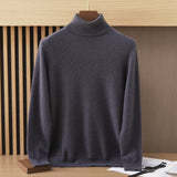 Mens Turtleneck Cashmere Sweater Long Sleeve Ribbed Hem Multi Colors